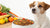 What Is Missing From Grain-Free Dog Food: Nutritional Gaps and Health Concerns