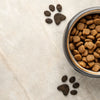 What Is the Best and Safest Dry Dog Food? A Comprehensive Guide for Pet Owners