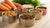 What is the Best Canned Dog Food for Large Dogs? A Comprehensive Guide-141046481135
