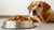 What is the Best Canned Dog Food for Older Dogs? A Comprehensive Guide