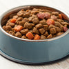 What is the Best Canned Dog Food for Puppies? A Comprehensive Guide