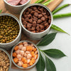 What Is the Best Canned Dog Food You Can Buy?