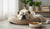 What is the Best Dog Food for a Senior Dog?-141233750255