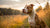 What is the Best Dog Food for Pitbulls with Allergies?