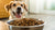 What is the Best Dog Food Kibble? A Comprehensive Guide for Pet Owners