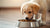 What Is the Best Dog Food to Feed a Puppy: A Comprehensive Guide for New Dog Owners