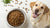 What is the Best Dry Dog Food for Allergies? A Comprehensive Guide