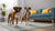 What is the Best Dry Dog Food for Small Dogs? A Comprehensive Guide for Pet Parents