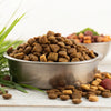 What is the Best Dry Dog Food for the Price?