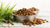 What is the Best Dry Dog Food for the Price?