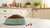 What is the Best Dry Dog Food for Weight Loss?