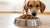 What is the Best Dry Dog Food to Buy? A Comprehensive Guide for Pet Owners