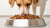 What is the Best Dry Food for Dogs? A Comprehensive Guide to Choosing the Right Kibble