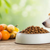 What is the Best Food for Dogs with Allergies? A Comprehensive Guide for Pet Owners