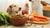 What is the Best Food to Feed Dogs with Allergies?-141097500911