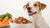 What is the Best Freeze Dried Raw Dog Food for Your Furry Friend?