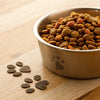 What Is the Best Grain Dog Food? A Comprehensive Guide for Dog Owners