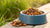What Is the Best Grain Inclusive Dog Food? A Comprehensive Guide for Pet Owners