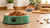 What Is the Best Healthy Wet Dog Food? A Comprehensive Guide for Pet Parents