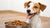 What is the Best Low Fat Canned Dog Food? Expert Insights and Recommendations