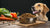 What is the Best Natural Dry Dog Food? A Comprehensive Guide for Responsible Pet Owners