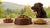 What is the Best Raw Freeze Dried Dog Food: A Comprehensive Guide for Pet Owners