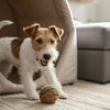 What Is the Best Way to Store Dry Dog Food?