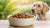 What is the Best Wet Dog Food for Diabetic Dogs?