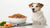 What is the Best Wet Dog Food for Seniors: A Comprehensive Guide