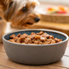 What is the Best Wet Dog Food for Small Dogs? A Comprehensive Guide to Nourishing Your Pup