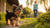 What is the Best Wet Dog Food for Yorkies: A Comprehensive Guide for Pet Parents