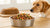 What Is the Best Wet Dog Food for Your Dog? A Comprehensive Guide
