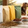 What is the Cheapest Dry Dog Food? Affordable Options for Pet Owners