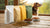 What is the Cheapest Dry Dog Food? Affordable Options for Pet Owners
