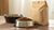 What is the Difference Between Wet and Dry Dog Food?
