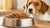 What is the Healthiest Canned Dog Food? A Comprehensive Guide for Pet Parents-141220249839