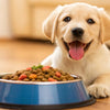 What is the Healthiest Dog Food for Puppies? A Comprehensive Guide for New Pet Parents