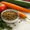 What is the Healthiest Dry Dog Food on the Market? A Comprehensive Guide for Pet Owners