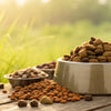 What is the Healthiest Dry Food for Dogs? An In-Depth Guide for Pet Owners