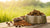 What is the Healthiest Dry Food for Dogs? An In-Depth Guide for Pet Owners