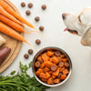 What is the Healthiest Food for Dogs to Eat?