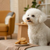 What is the Healthiest Puppy Food? A Comprehensive Guide for Pet Parents
