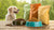 What is the Highest Quality Dry Dog Food? A Comprehensive Guide for Pet Owners