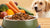 What is the Most Nutritious Wet Dog Food? A Comprehensive Guide for Pet Owners