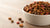 What is the Number One Dry Dog Food? A Comprehensive Guide for Pet Owners