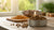 What Is the Safest Dry Dog Food? A Comprehensive Guide for Pet Owners