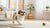 What is the Tastiest Dry Dog Food? Discovering the Best Options for Your Pup