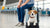 What is the Weight Limit for a Dog to Fly? A Comprehensive Guide for Pet Owners