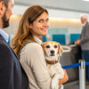 What Is the Weight Limit for Dogs on an Airplane? A Comprehensive Guide for Pet Owners