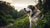What is the Weight of a Large Dog? Understanding Giant Companions